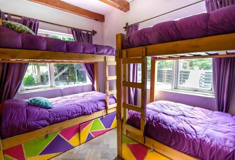 Hostel Chili Kiwi Lakefront Backpackers