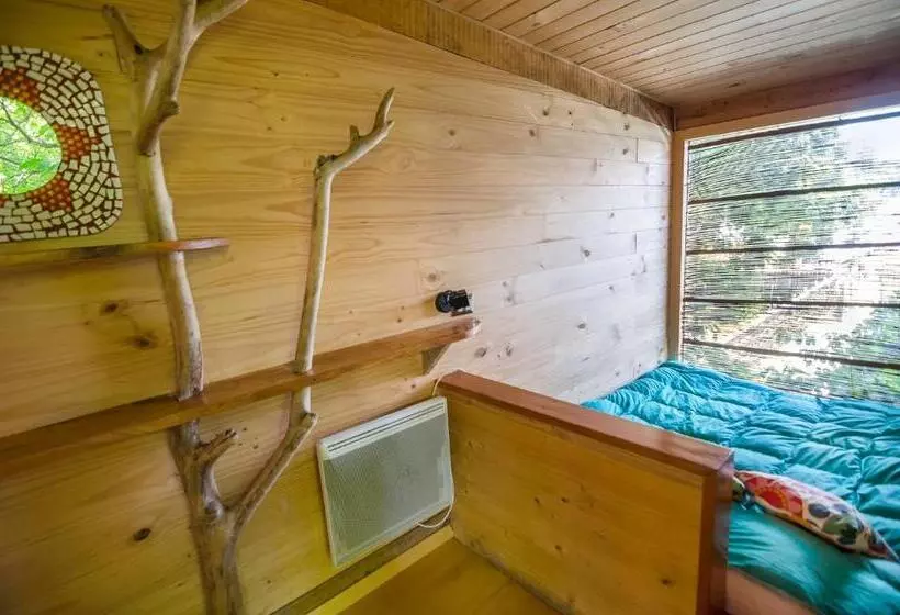 ユースホステル Chili Kiwi Lakefront Backpackers