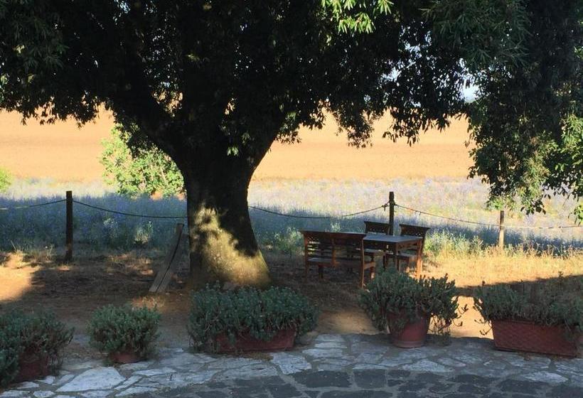 Bed and Breakfast Il Soffio Di Eolo