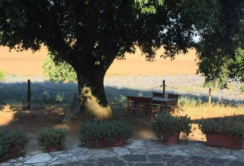 تختخواب و صبحانه Il Soffio Di Eolo