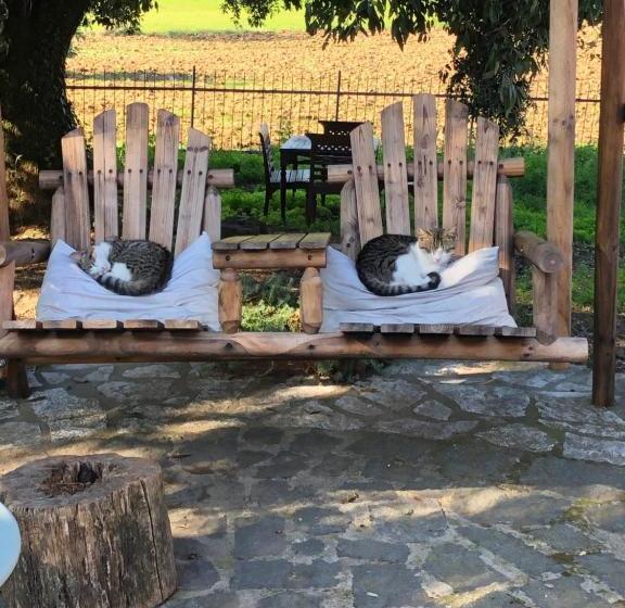 Bed and Breakfast Il Soffio Di Eolo