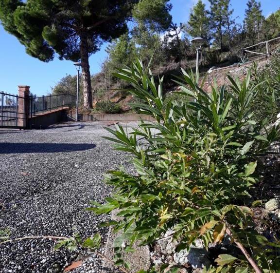 ベッドアンドブレックファースト La Madonetta   Dimora D Epoca