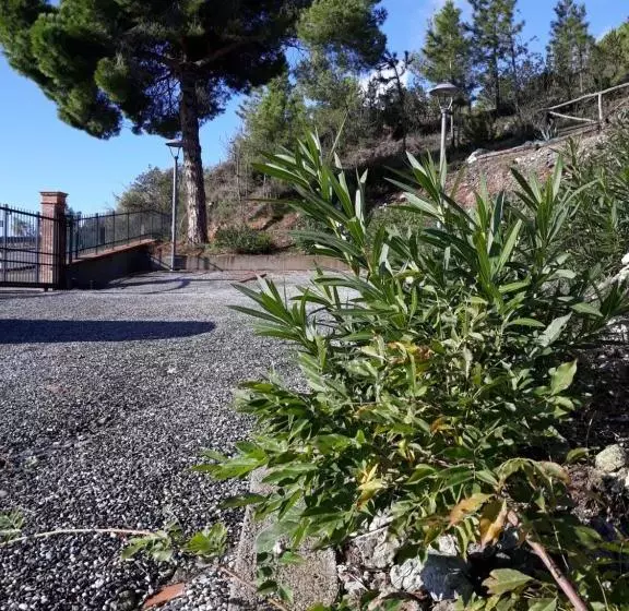 تختخواب و صبحانه La Madonetta Dimora D Epoca