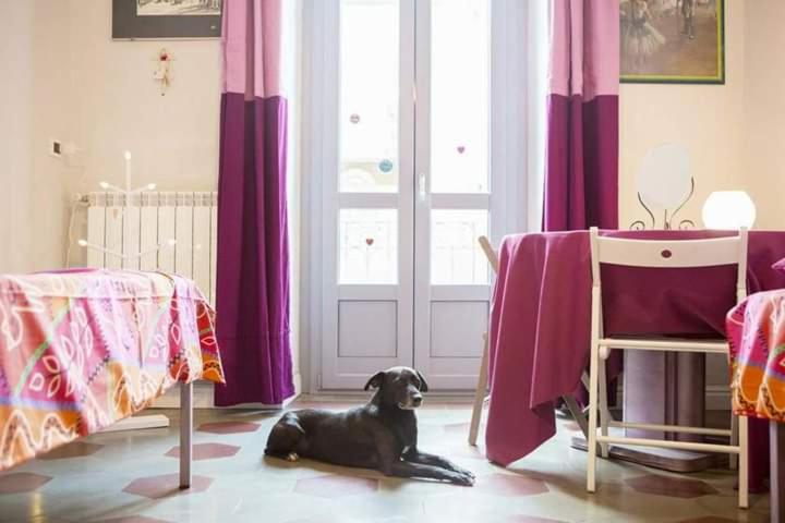 تختخواب و صبحانه Casa Dani&swing Bed&books