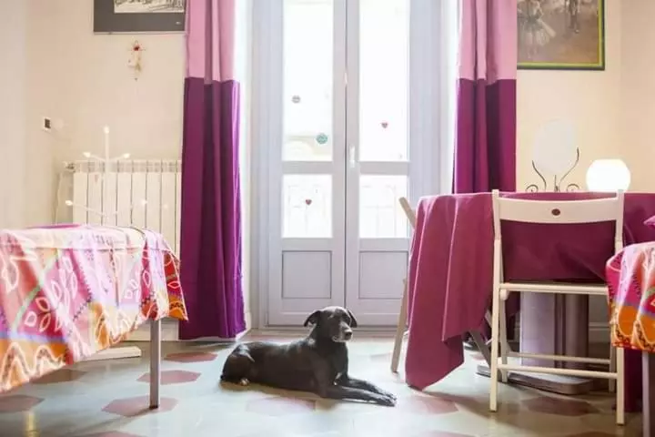 تختخواب و صبحانه Casa Dani&swing Bed&books