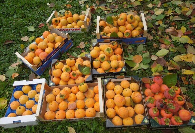 ベッドアンドブレックファースト Casa Rovelli