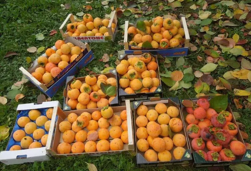 Aamiaismajoitus (B&B) Casa Rovelli