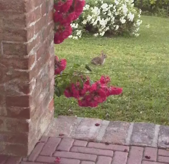 Aamiaismajoitus (B&B) Casa Rovelli