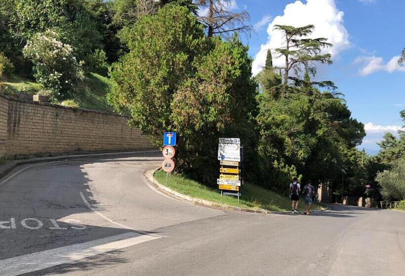 مبيت وإفطار Il Palazzetto