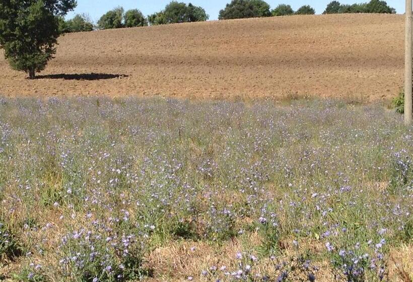 Bed and Breakfast Il Soffio Di Eolo