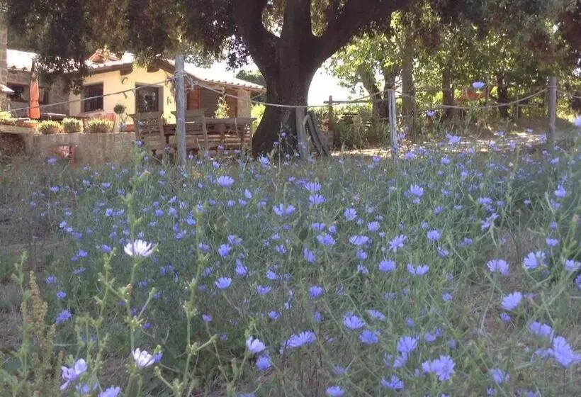 تختخواب و صبحانه Il Soffio Di Eolo