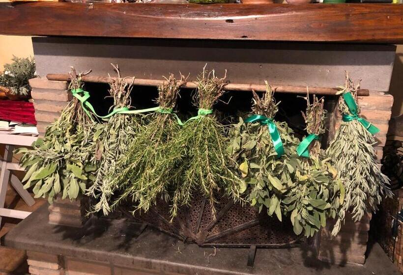 Bed and Breakfast Il Soffio Di Eolo