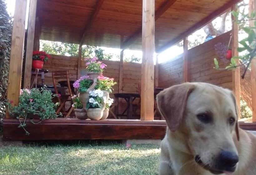 Bed and Breakfast La Contea