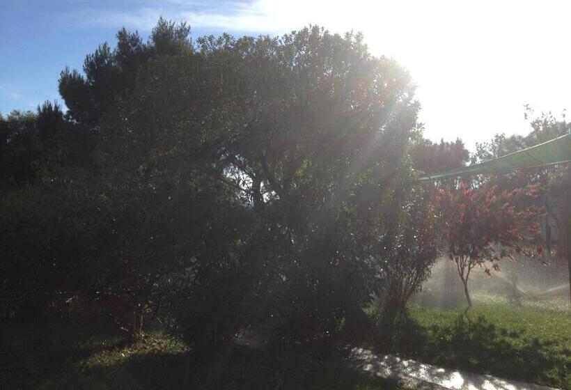 Bed and Breakfast La Contea