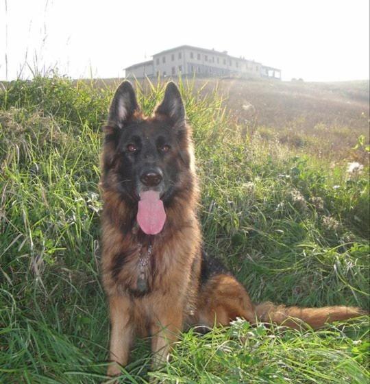 B&b Tenuta Il Galletto