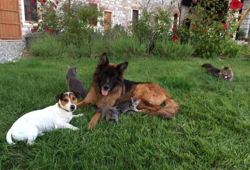 B&b Tenuta Il Galletto