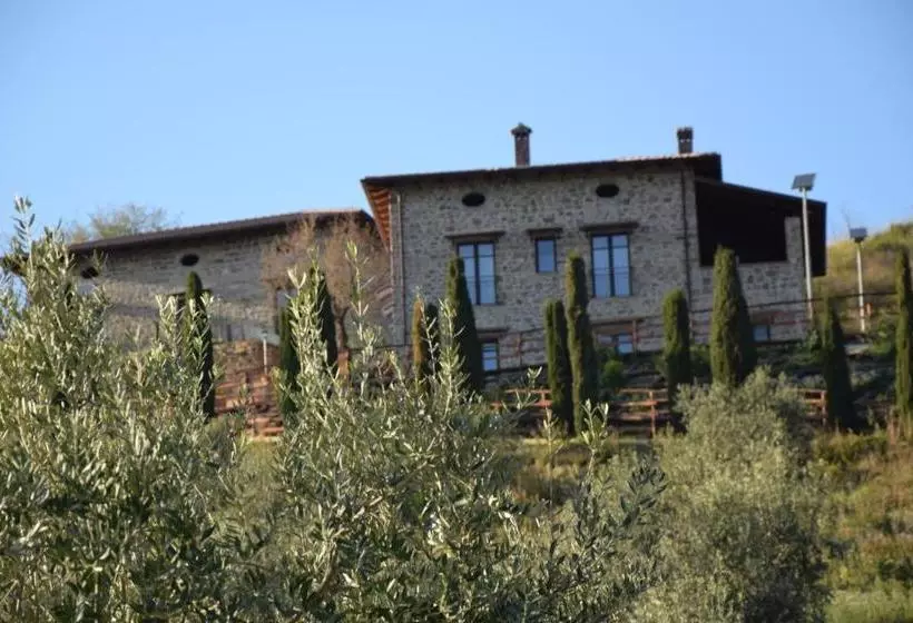 Feudi Enchestre B&b Agropoli