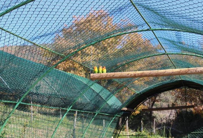 Feudi Enchestre B&b Agropoli