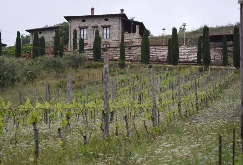 Feudi Enchestre B&b Agropoli