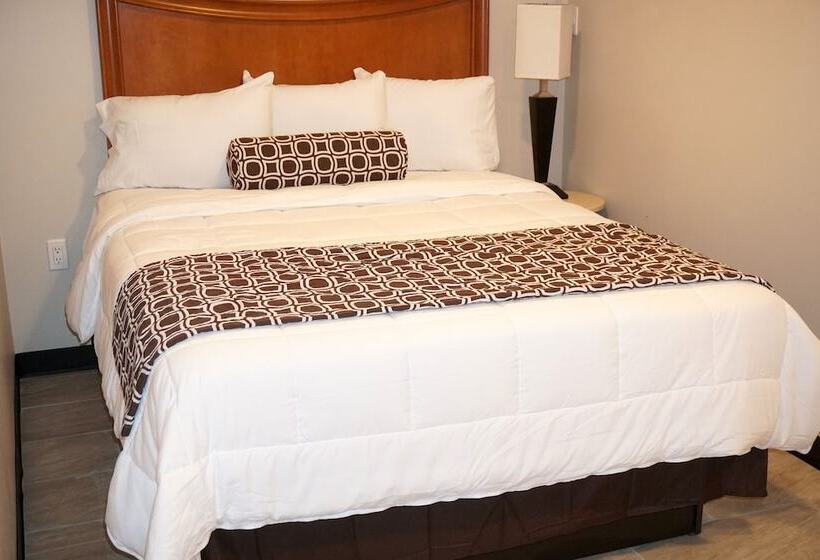 酒店 Beachside Resort