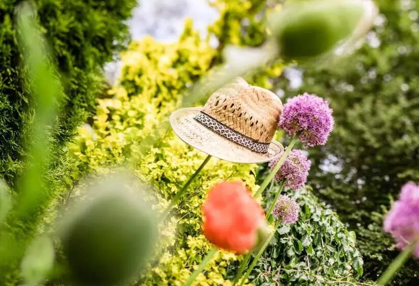 ホテル Der Mesnerwirt   4 Superior   Meran 2000