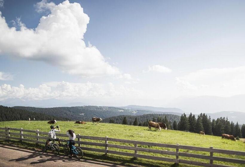 בית מלון כפרי Der Mesnerwirt   4 Superior   Meran 2000