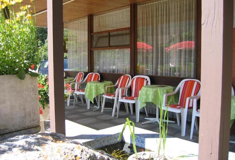 酒店 Garni Simplon