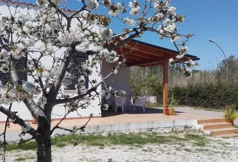 B&b Arcafelice