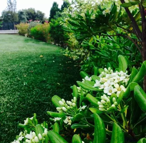 Aamiaismajoitus (B&B) Agriturismo La Torretta