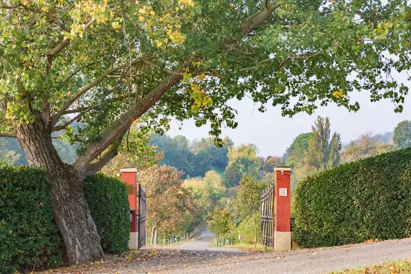 Aamiaismajoitus (B&B) Ca  Palazzo Malvasia  Bolognarooms