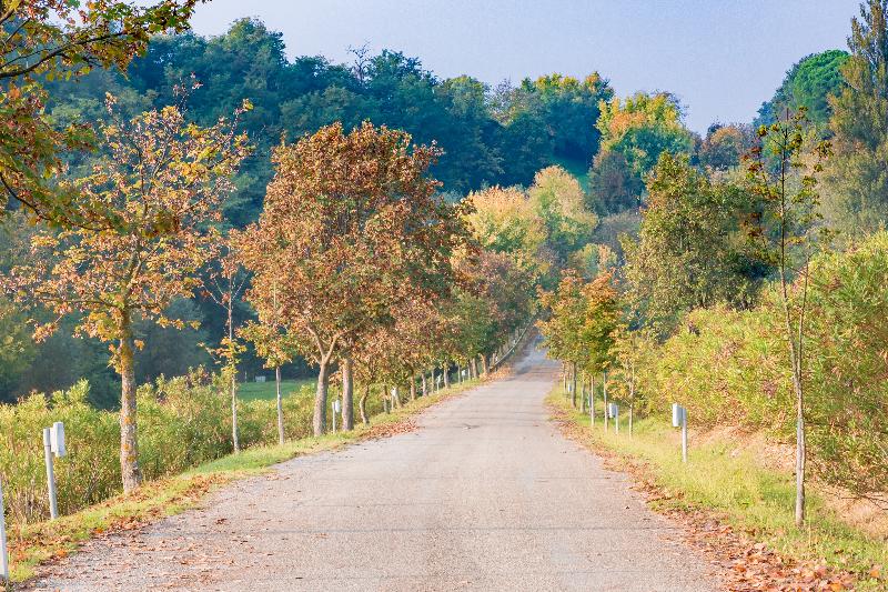 צימר Ca Palazzo Malvasia Bolognarooms