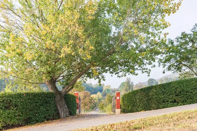 Aamiaismajoitus (B&B) Ca  Palazzo Malvasia  Bolognarooms