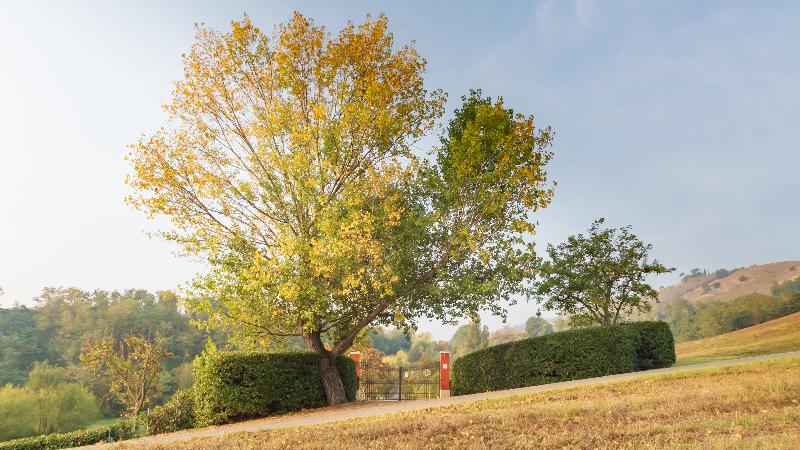 צימר Ca Palazzo Malvasia Bolognarooms