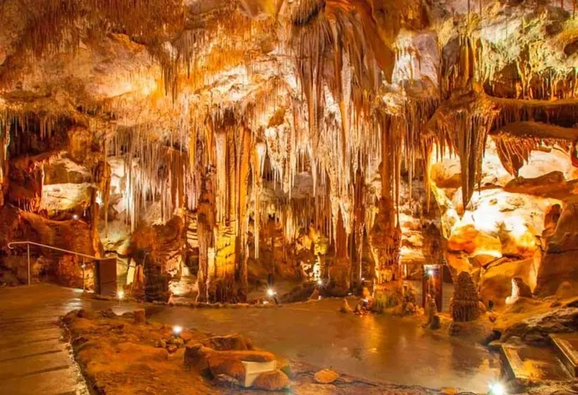 Aamiaismajoitus (B&B) Agriturismo Masseria Alberotanza