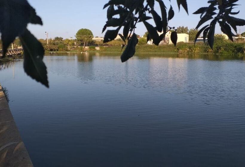 住宿加早餐  Agriturismo Masseria Alberotanza