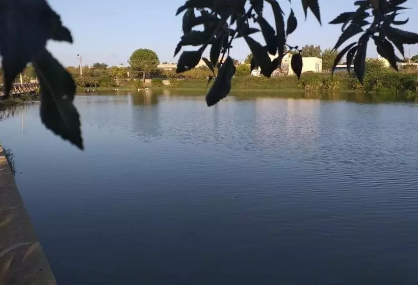 Aamiaismajoitus (B&B) Agriturismo Masseria Alberotanza