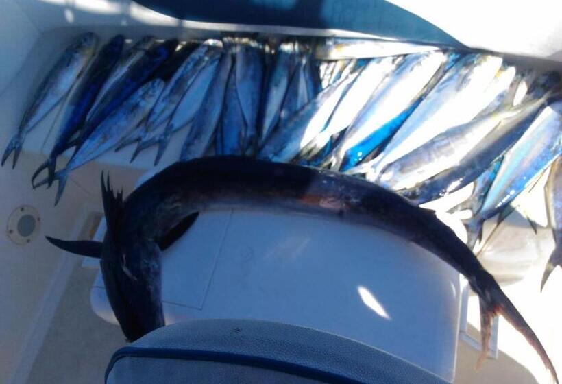 צימר Palazzo Santa Rosalia