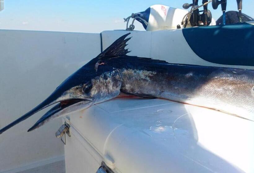 צימר Palazzo Santa Rosalia