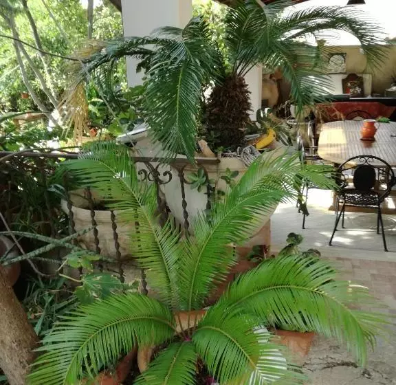 Aamiaismajoitus (B&B) The Garden