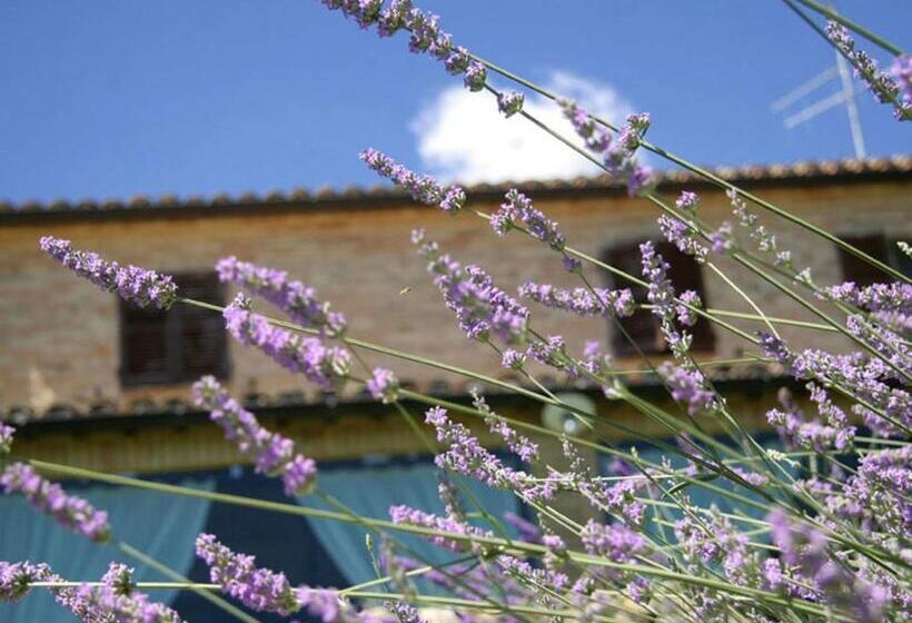 Bed and Breakfast Villarondanella