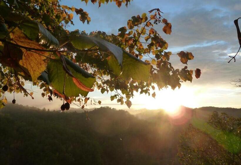 B&b Al Giardino Dei Mandorli