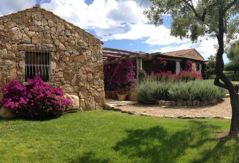 Bed and Breakfast Albero Capovolto