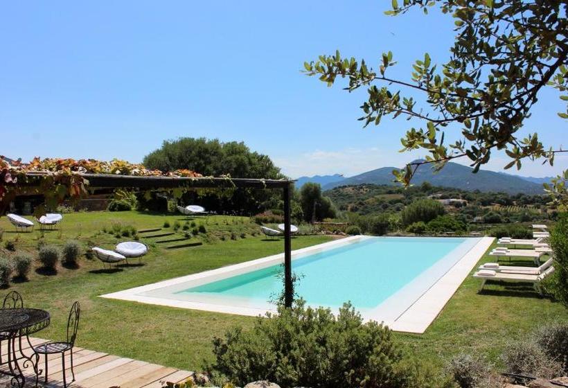 Bed and Breakfast Albero Capovolto