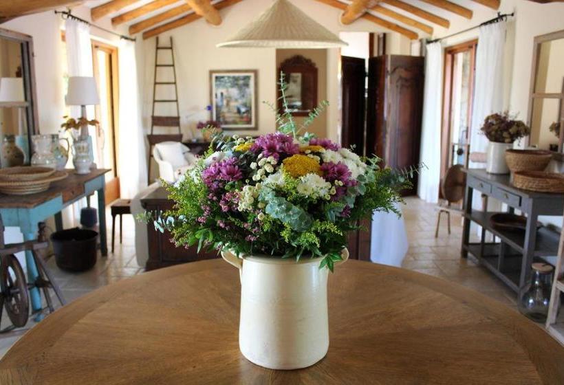 Bed and Breakfast Albero Capovolto