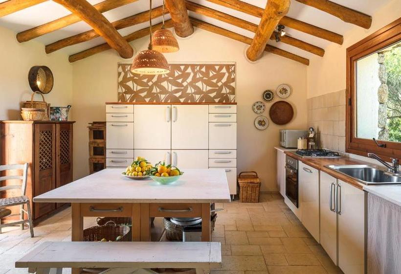 Bed and Breakfast Albero Capovolto