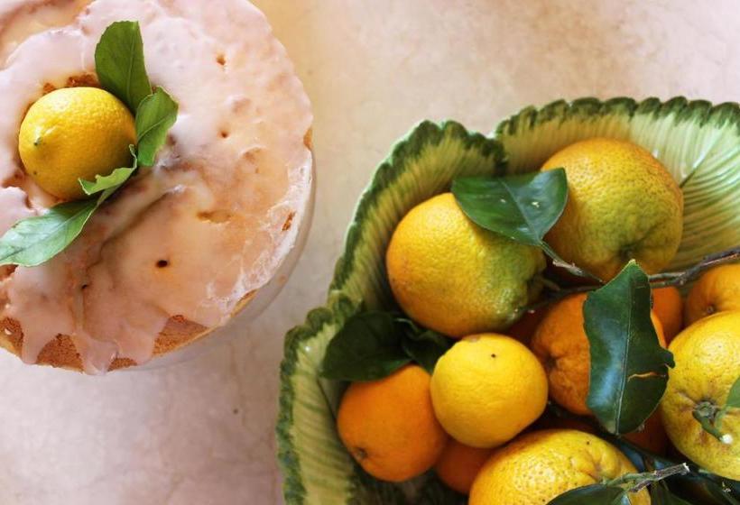 Bed and Breakfast Albero Capovolto