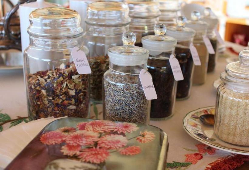 Bed and Breakfast Albero Capovolto