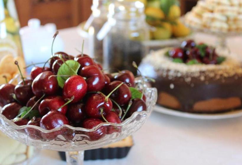 Bed and Breakfast Albero Capovolto