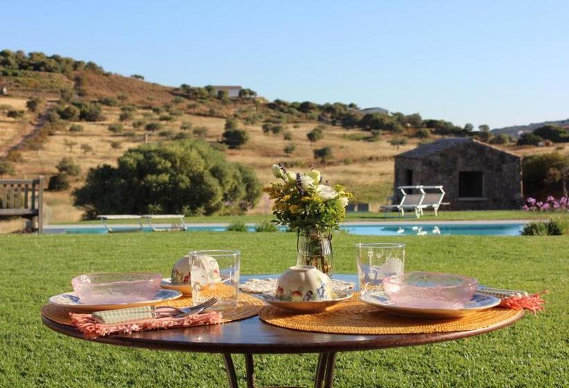 Bed and Breakfast Albero Capovolto