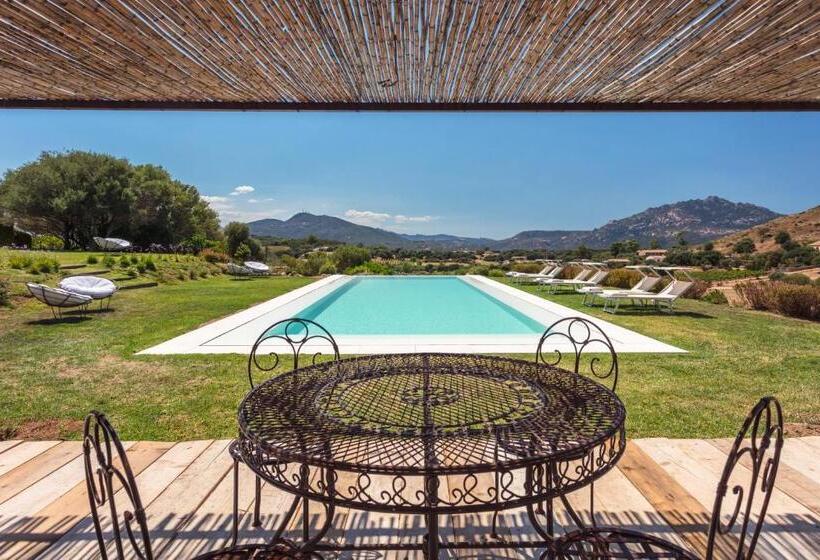 Bed and Breakfast Albero Capovolto